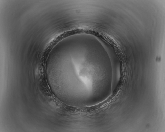 X0000091500776200708161458