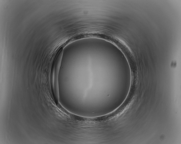 X0000091500777200708161458