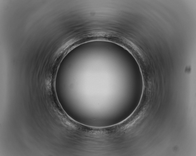 X0000091500778200708161458