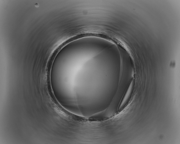 X0000091500779200708161458