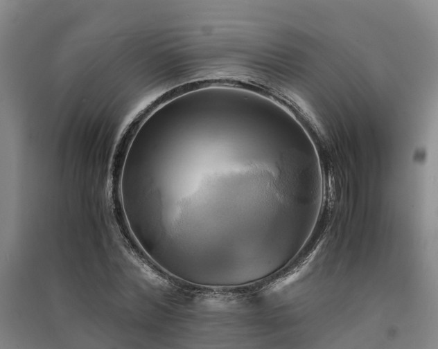 X0000091500780200708161458