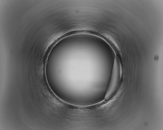 X0000091500781200708161458