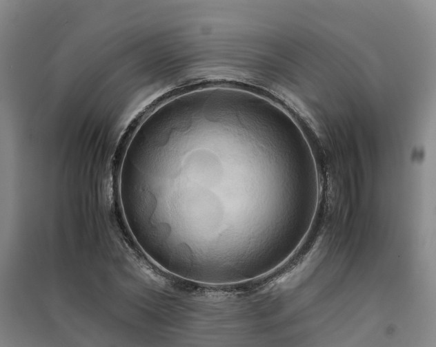 X0000091500782200708161458