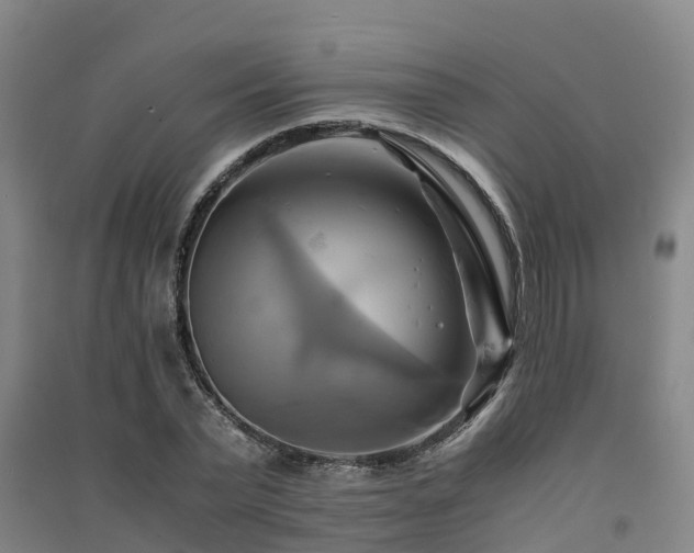 X0000091500783200708161458
