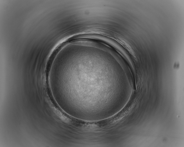 X0000091500784200708161458