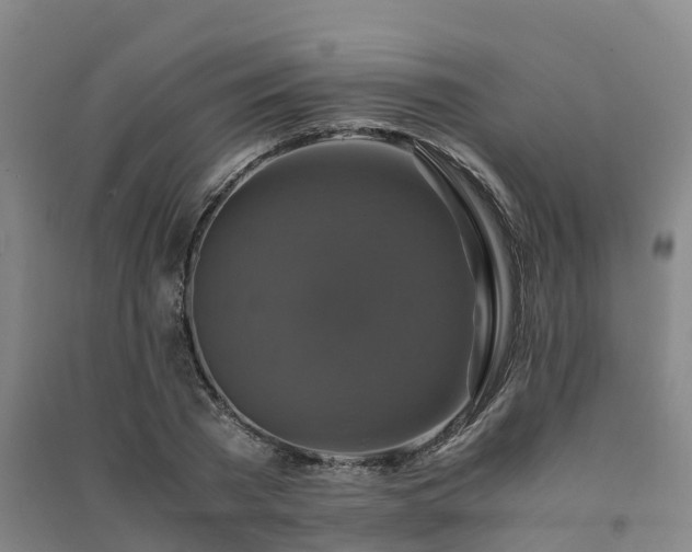 X0000091500785200708161458
