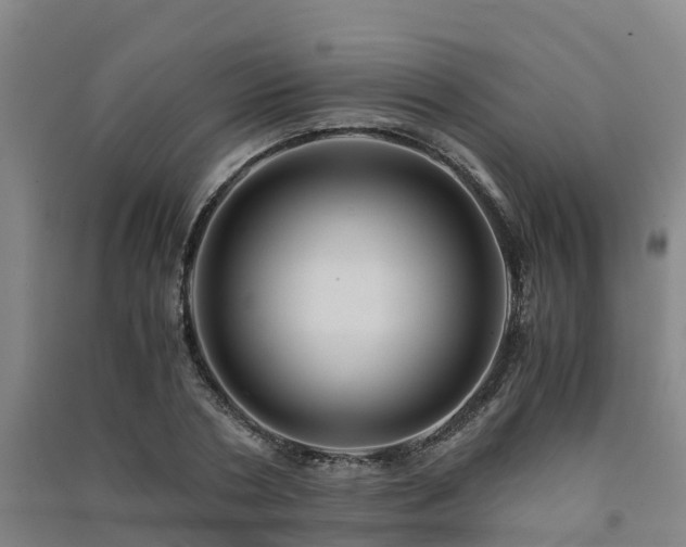 X0000091500786200708161458