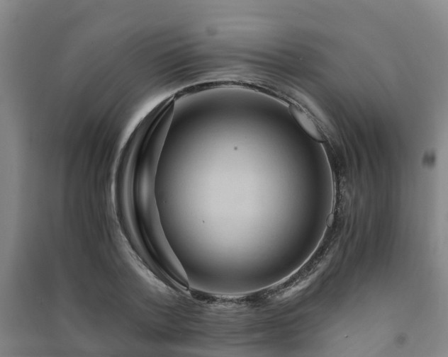 X0000091500788200708161458