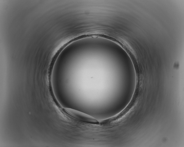 X0000091500789200708161457