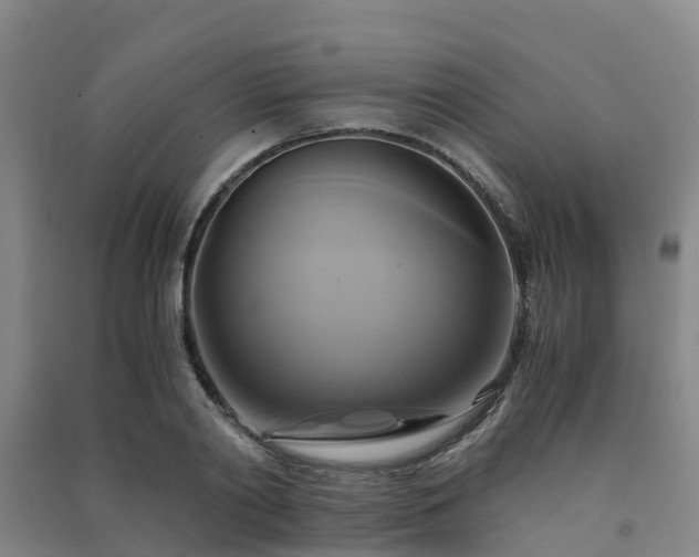 X0000091500790200708161457