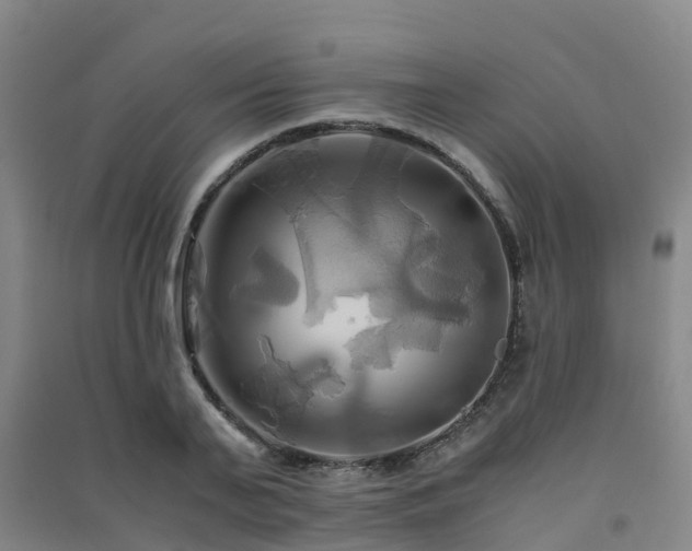 X0000091500791200708161457