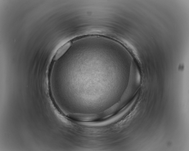 X0000091500792200708161457