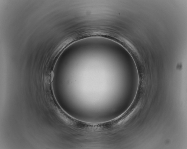 X0000091500793200708161457