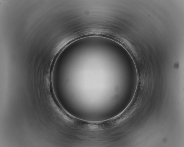 X0000091500794200708161457