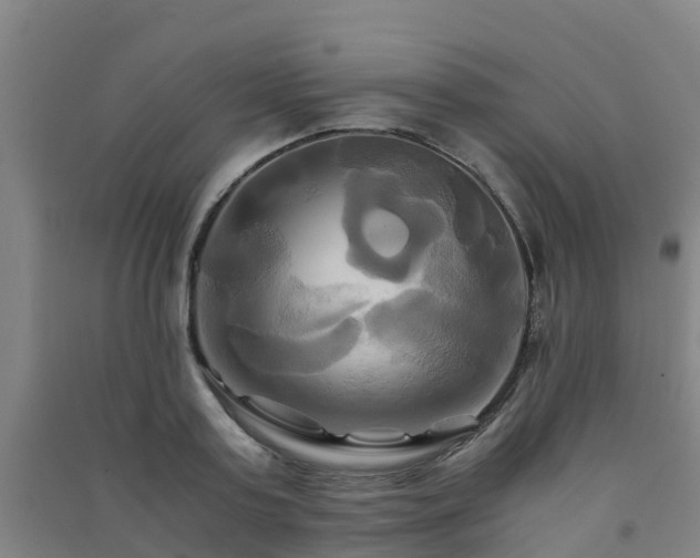 X0000091500795200708161457
