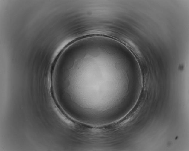 X0000091500796200708161457