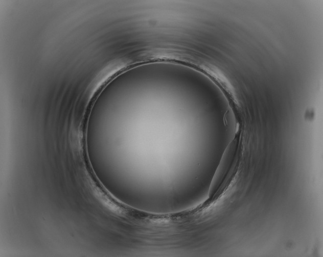 X0000091500798200708161457