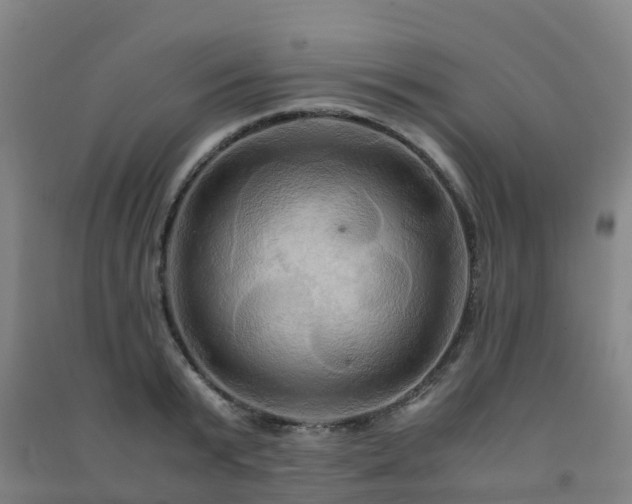 X0000091500799200708161457