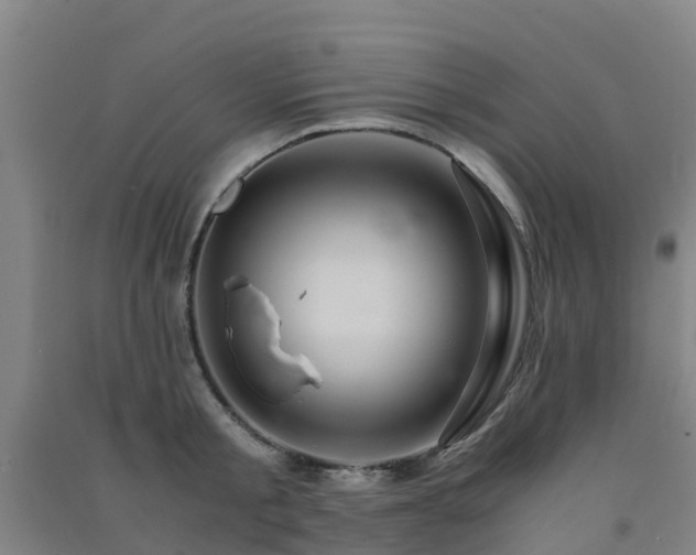 X0000091500805200708161457