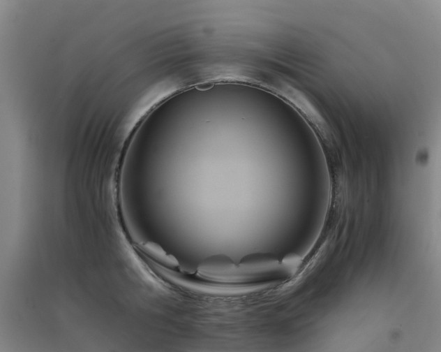 X0000091500806200708161457