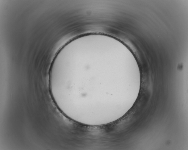 X0000091500807200708161457