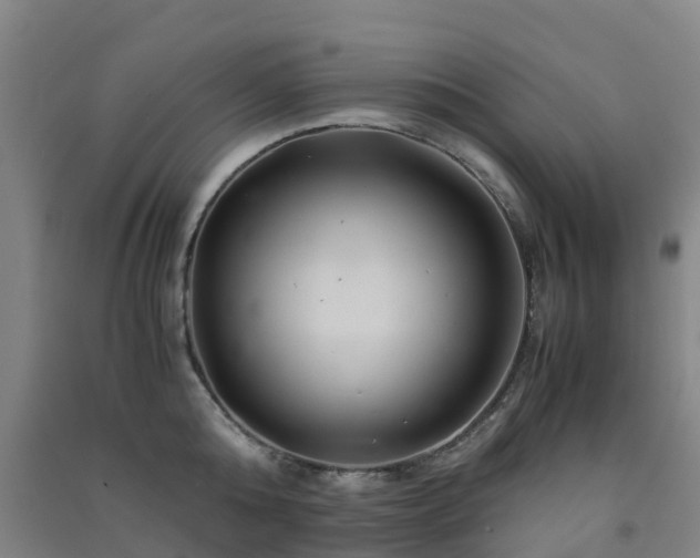 X0000091500808200708161457