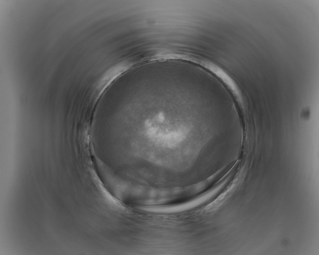 X0000091500809200708161457