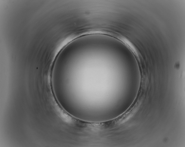 X0000091500813200708161457