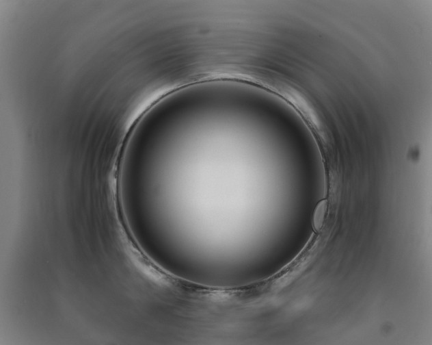 X0000091500814200708161457