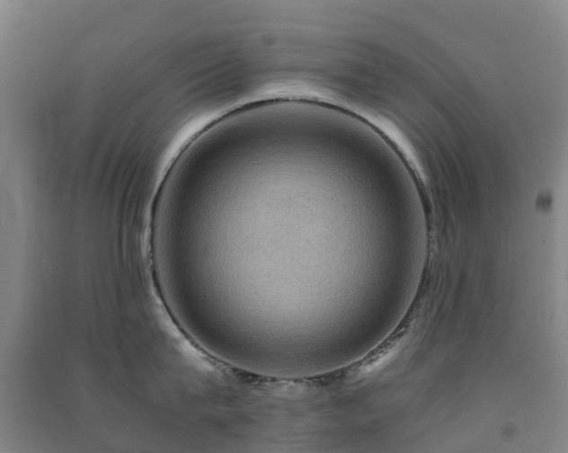 X0000091500815200708161457