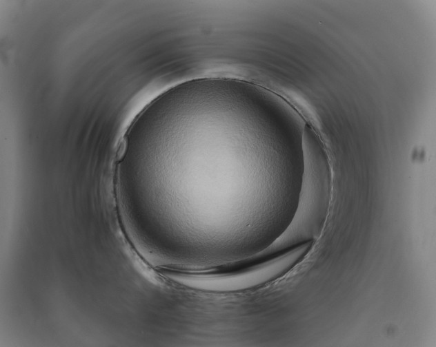 X0000091500816200708161457