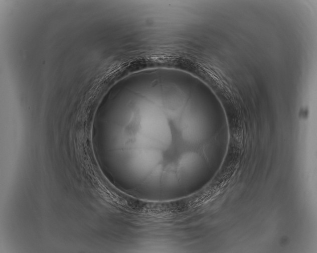 X0000091500817200708161457