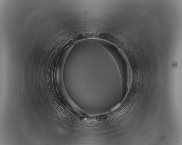 X0000091500818200708161457