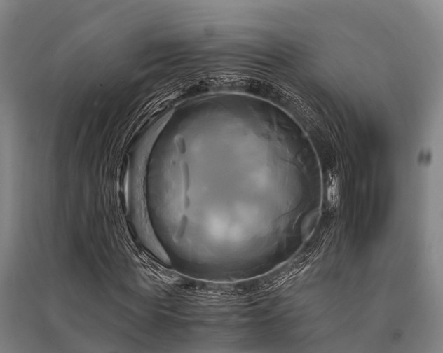 X0000091500819200708161457