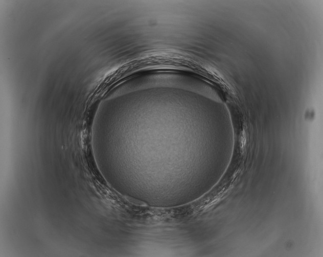 X0000091500822200708161457