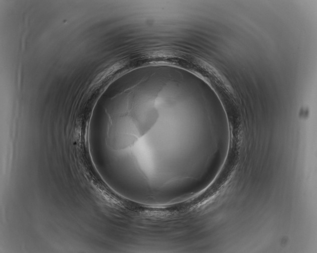 X0000091500825200708161457