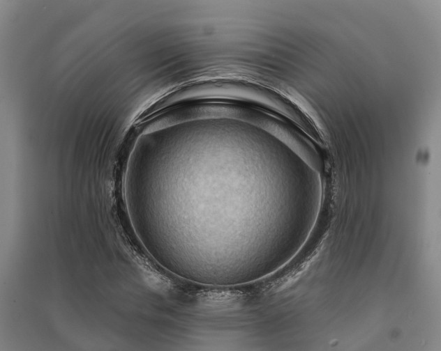 X0000091500826200708161457
