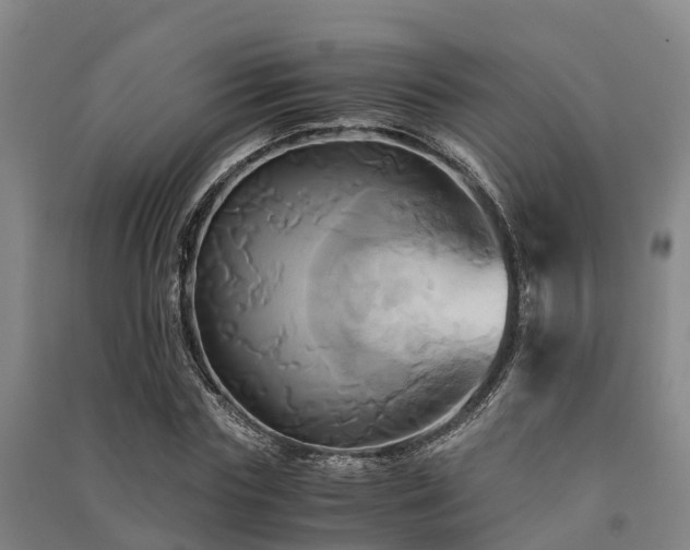 X0000091500827200708161457