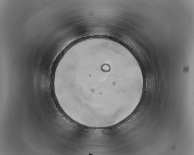 X0000091500828200708161457
