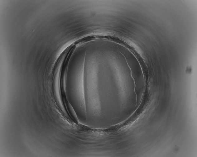 X0000091500829200708161457