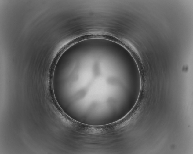 X0000091500831200708161457
