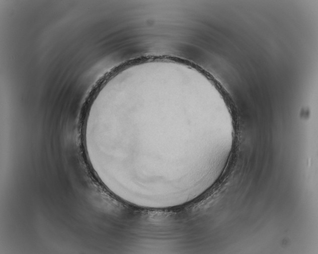 X0000091500832200708161457