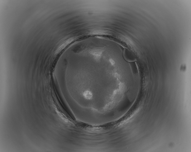 X0000091500833200708161457