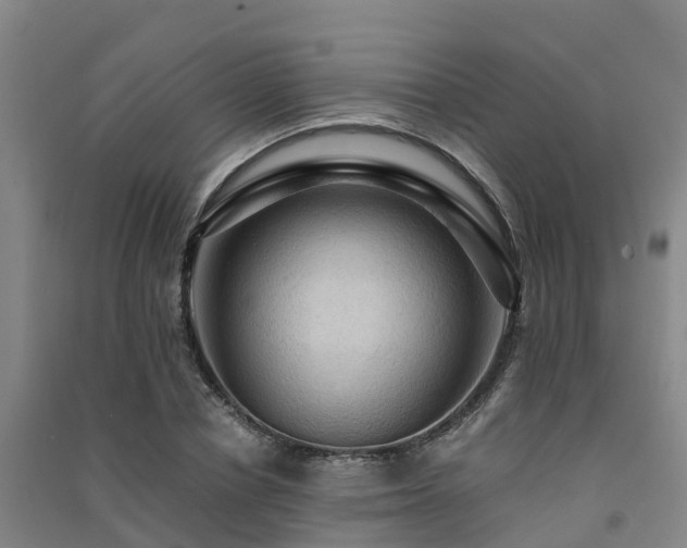 X0000091500834200708161457