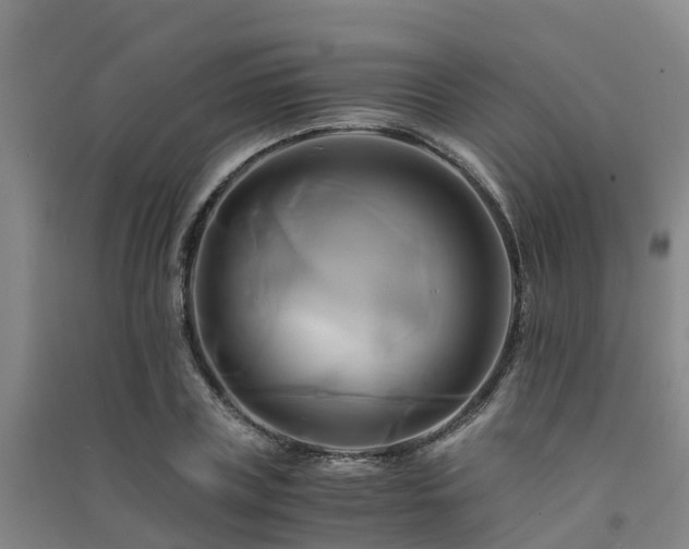 X0000091500835200708161457