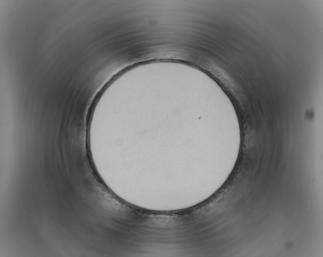 X0000091500836200708161457