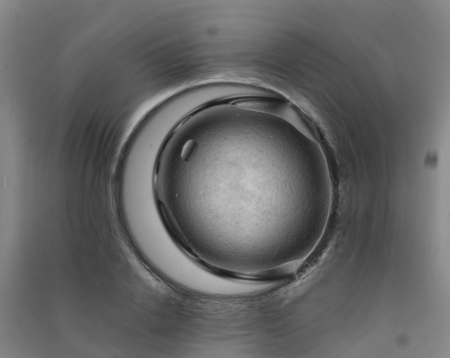 X0000091500838200708161457