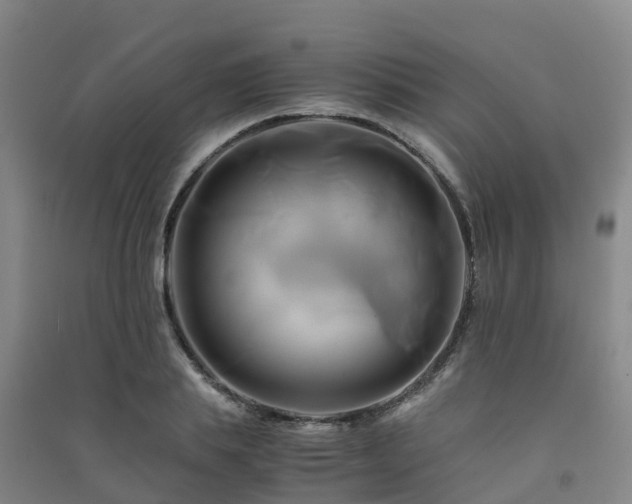 X0000091500839200708161457