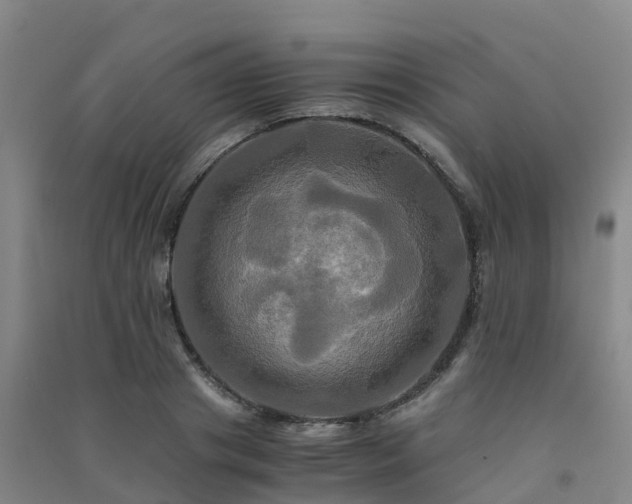 X0000091500841200708161457