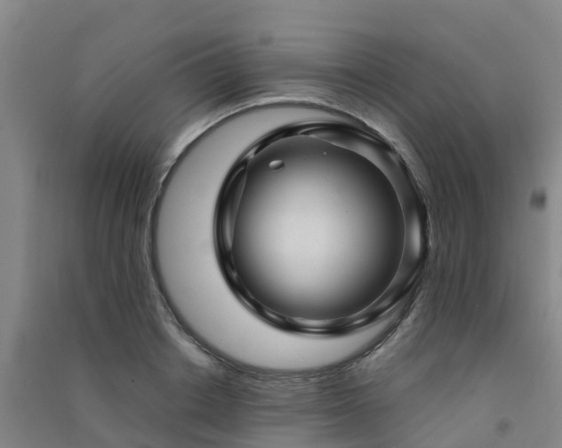 X0000091500842200708161457